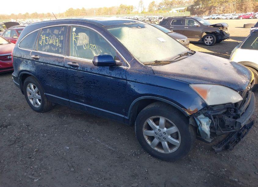 2009 Honda Cr-v EX-L (VIN JHLRE48749C014239) main photo