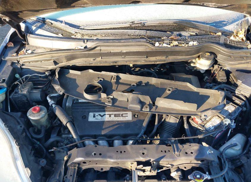 Photo 10 of 2009 Honda Cr-v EX-L (VIN JHLRE48749C014239)