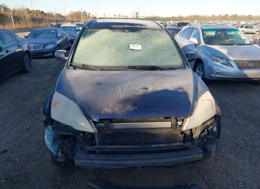 Photo 11 of 2009 Honda Cr-v EX-L (VIN JHLRE48749C014239)