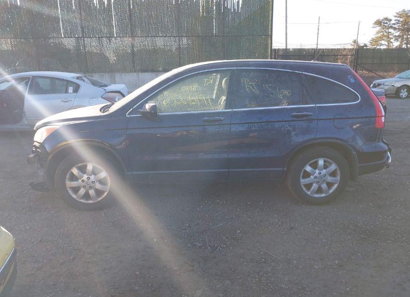 Photo 13 of 2009 Honda Cr-v EX-L (VIN JHLRE48749C014239)