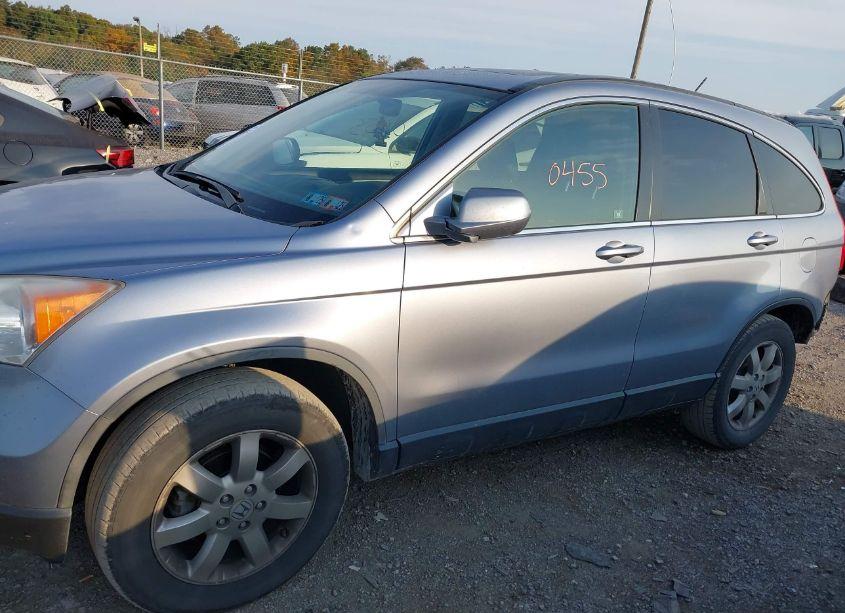 Photo 14 of 2009 Honda Cr-v EX-L (VIN JHLRE48749C014628)