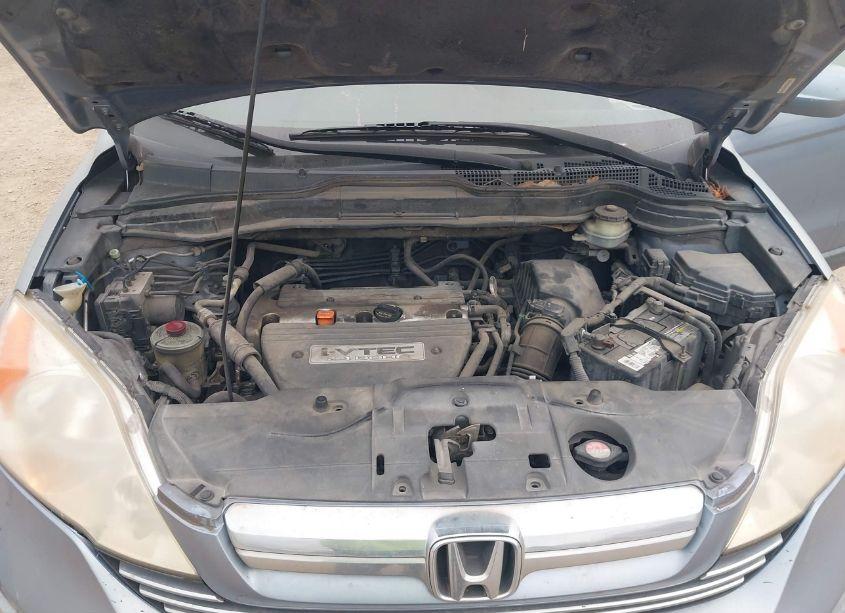 Photo 10 of 2007 Honda Cr-v EX-L (VIN JHLRE48757C011203)