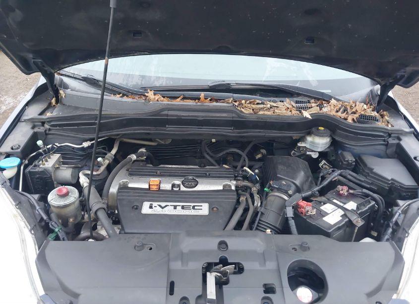 Photo 10 of 2008 Honda Cr-v EX-L (VIN JHLRE48758C021554)