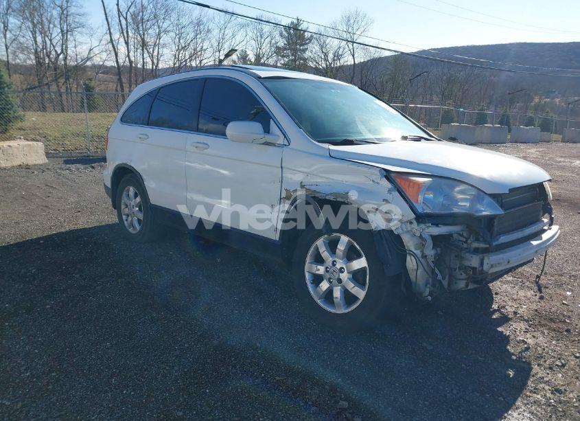 2008 Honda Cr-v EX-L (VIN JHLRE48758C029007) main photo
