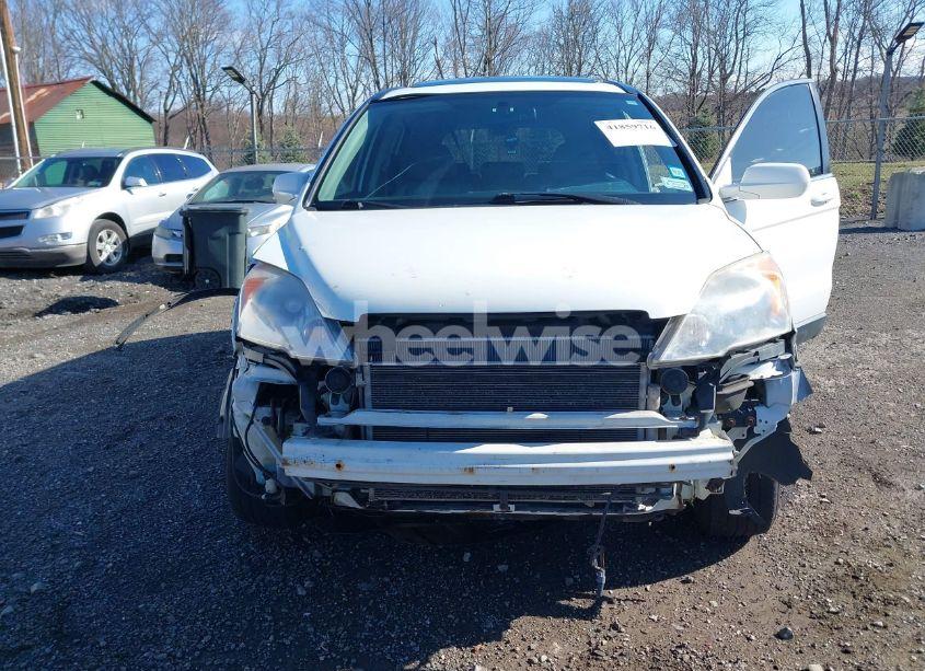 Photo 6 of 2008 Honda Cr-v EX-L (VIN JHLRE48758C029007)