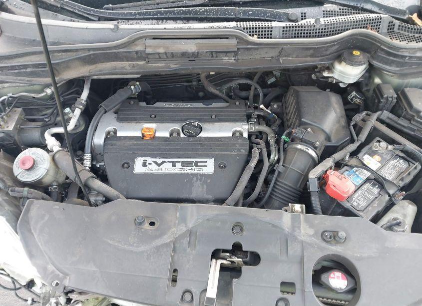 Photo 10 of 2007 Honda Cr-v EX-L (VIN JHLRE48767C040001)