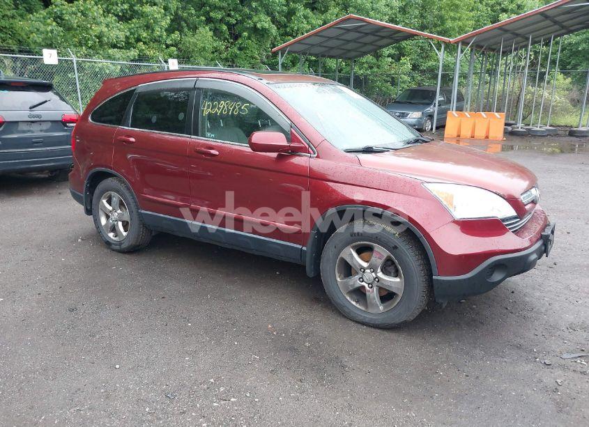 2008 Honda Cr-v EX-L (VIN JHLRE48768C029789) main photo