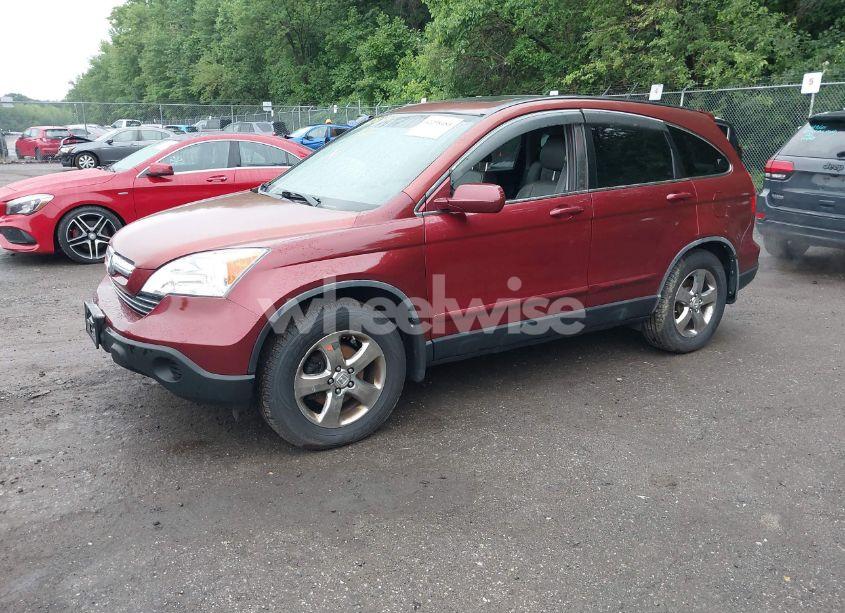 Photo 2 of 2008 Honda Cr-v EX-L (VIN JHLRE48768C029789)