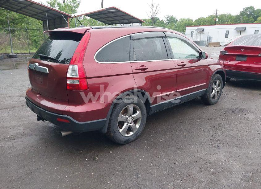 Photo 4 of 2008 Honda Cr-v EX-L (VIN JHLRE48768C029789)