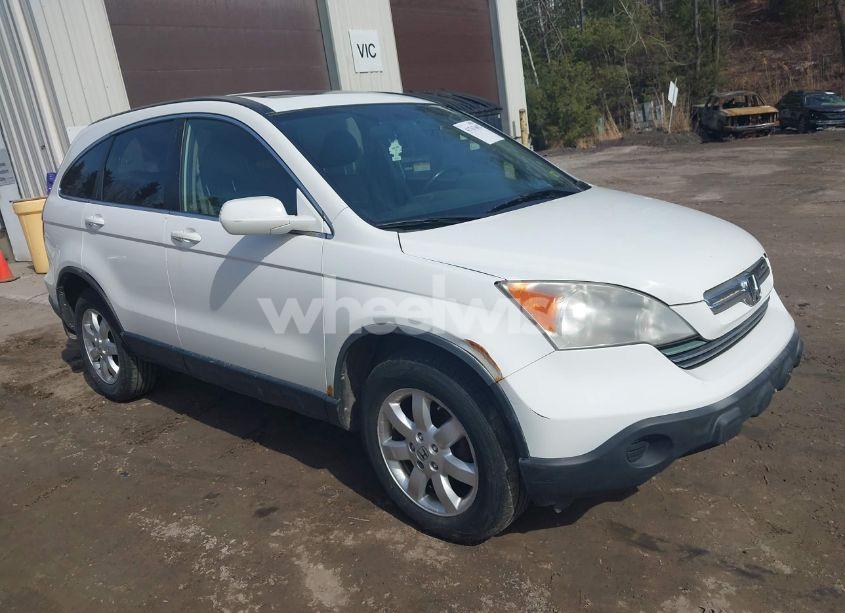 2008 Honda Cr-v EX-L (VIN JHLRE48768C037682) main photo
