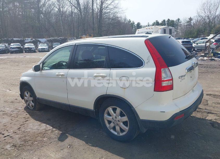 Photo 3 of 2008 Honda Cr-v EX-L (VIN JHLRE48768C037682)