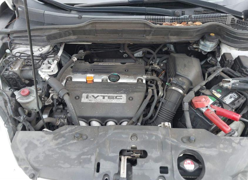 Photo 10 of 2008 Honda Cr-v EX-L (VIN JHLRE48768C060718)