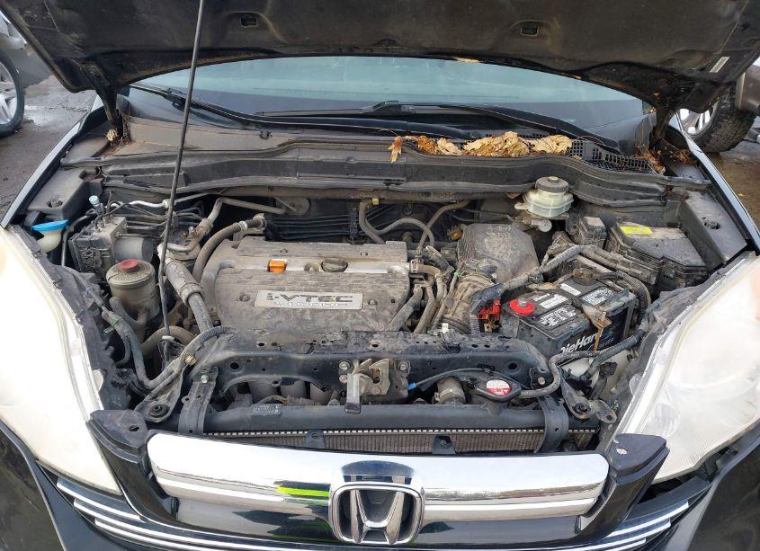 Photo 10 of 2008 Honda Cr-v EX-L (VIN JHLRE48768C075073)