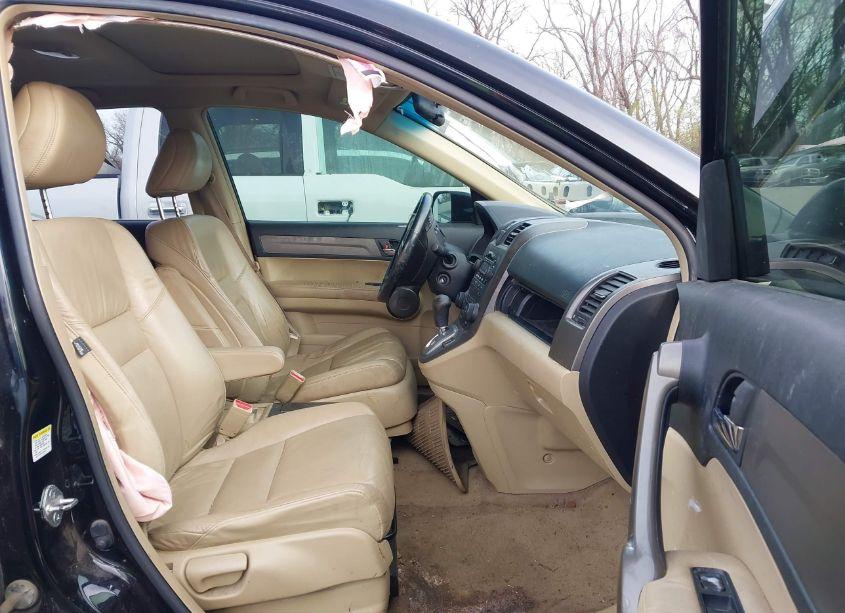 Photo 5 of 2008 Honda Cr-v EX-L (VIN JHLRE48768C075073)