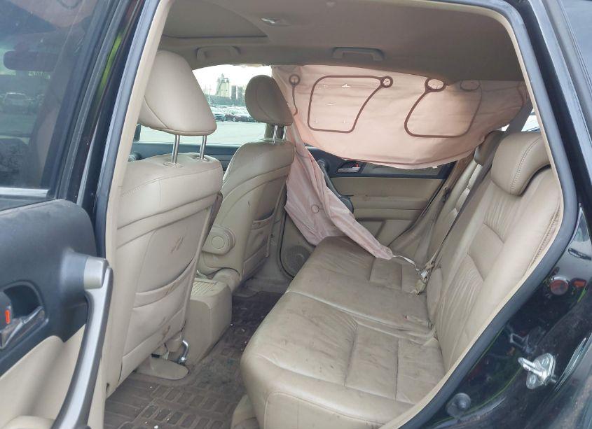 Photo 8 of 2008 Honda Cr-v EX-L (VIN JHLRE48768C075073)