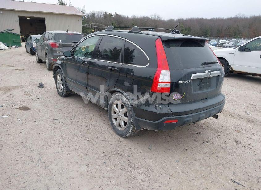 Photo 3 of 2009 Honda Cr-v EX-L (VIN JHLRE48769C012136)