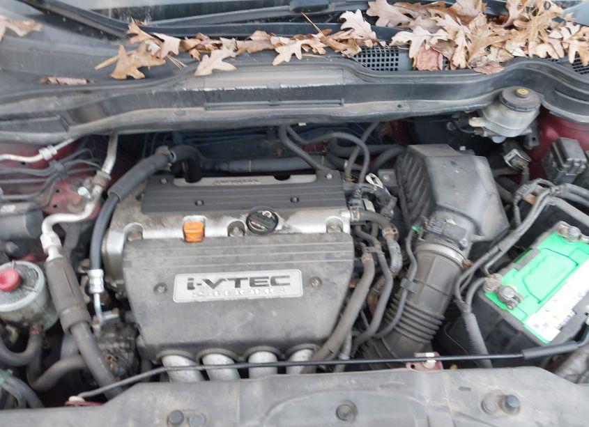 Photo 10 of 2007 Honda Cr-v EX-L (VIN JHLRE48777C033865)