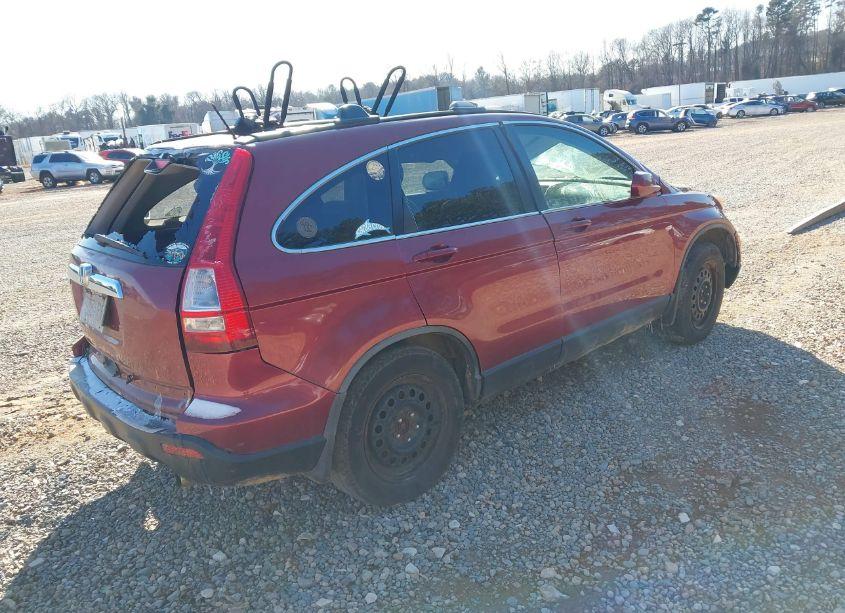 Photo 4 of 2007 Honda Cr-v EX-L (VIN JHLRE48777C033865)