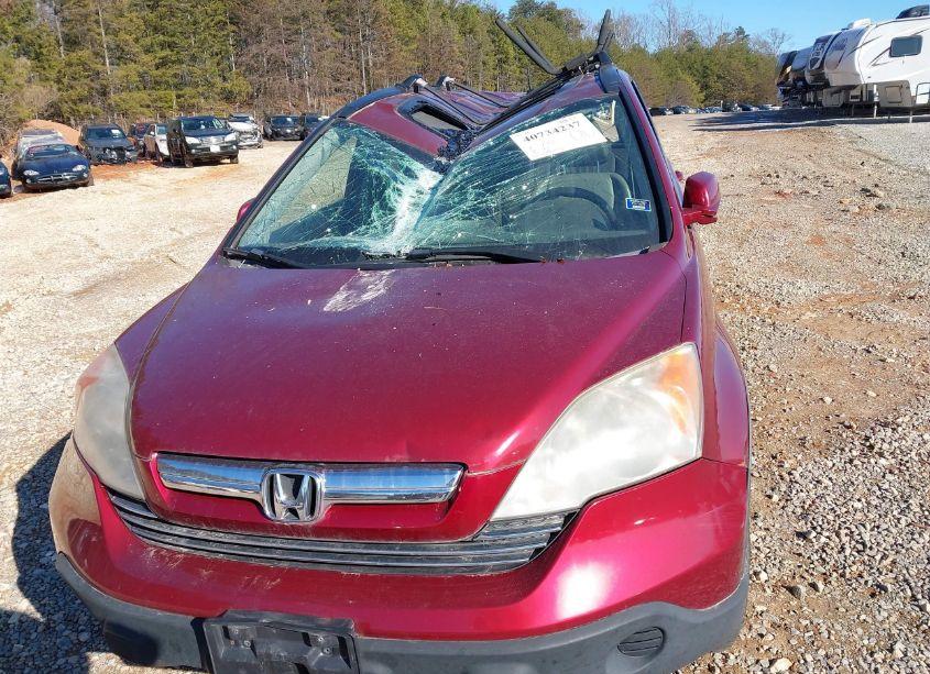 Photo 6 of 2007 Honda Cr-v EX-L (VIN JHLRE48777C033865)