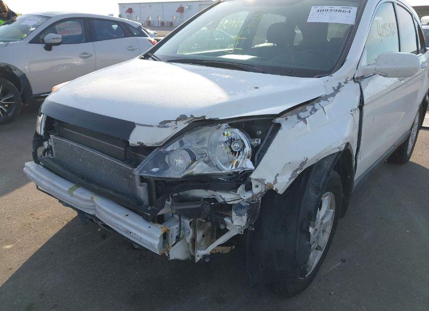 Photo 6 of 2007 Honda Cr-v EX-L (VIN JHLRE48777C045191)