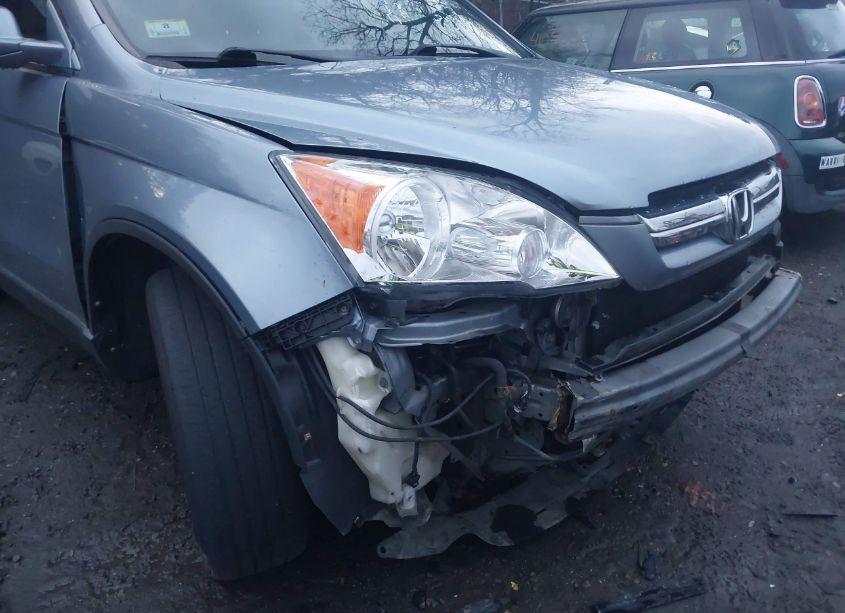 Photo 6 of 2007 Honda Cr-v EX-L (VIN JHLRE48777C100397)