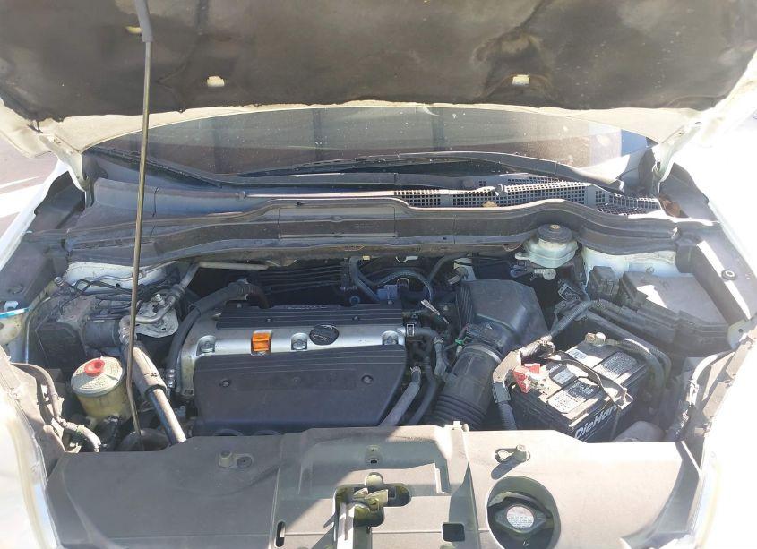 Photo 10 of 2007 Honda Cr-v EX-L (VIN JHLRE48777C111982)