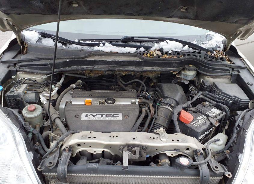 Photo 10 of 2007 Honda Cr-v EX-L (VIN JHLRE48777C117569)