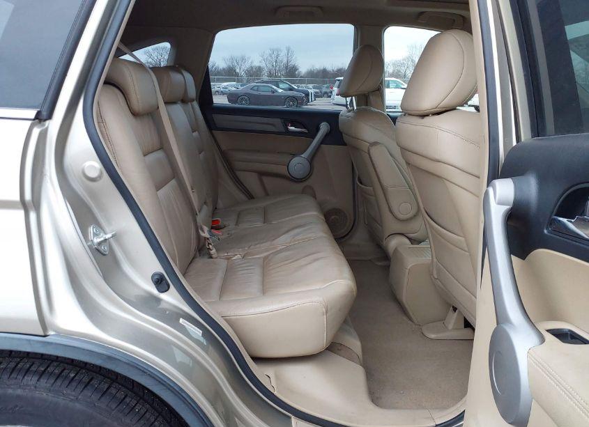 Photo 8 of 2007 Honda Cr-v EX-L (VIN JHLRE48777C117569)