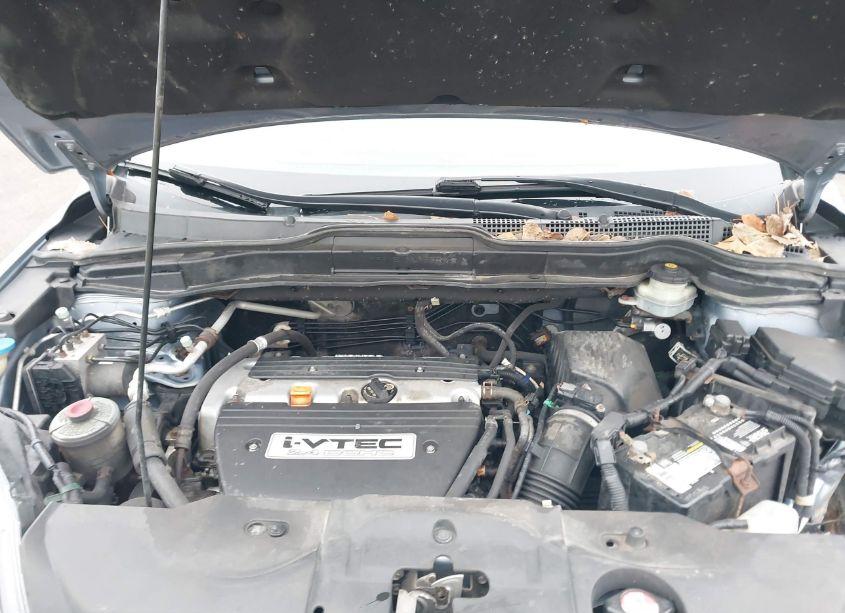 Photo 10 of 2007 Honda Cr-v EX-L (VIN JHLRE48787C003161)