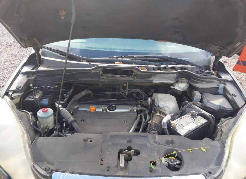 Photo 10 of 2007 Honda Cr-v EX-L (VIN JHLRE48787C030280)