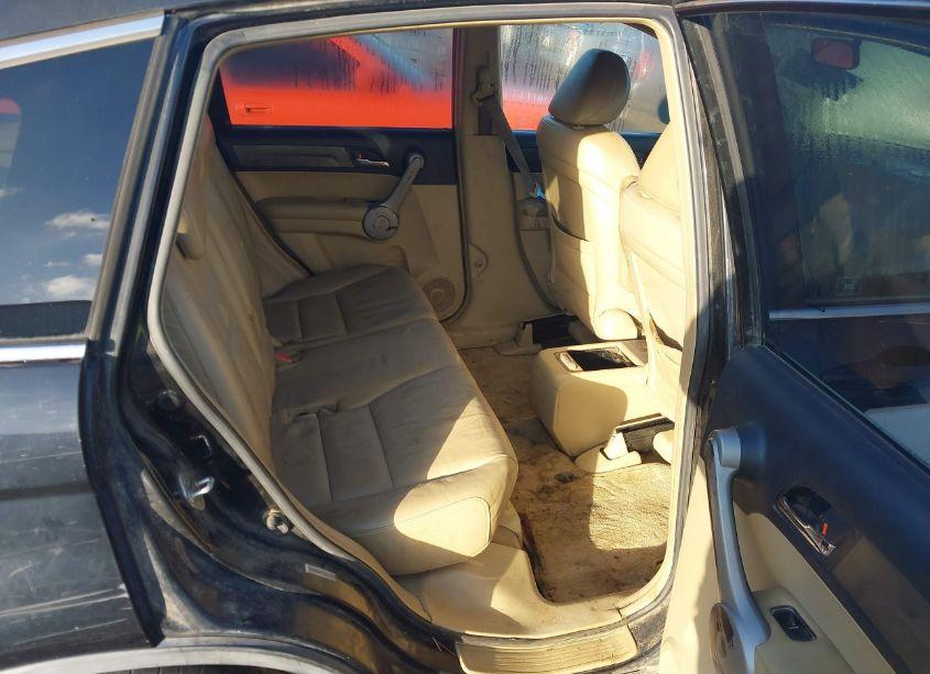 Photo 8 of 2007 Honda Cr-v EX-L (VIN JHLRE48787C030280)