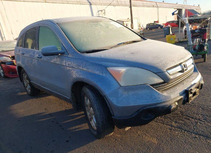 2007 Honda Cr-v EX-L (VIN JHLRE48787C118343) main photo