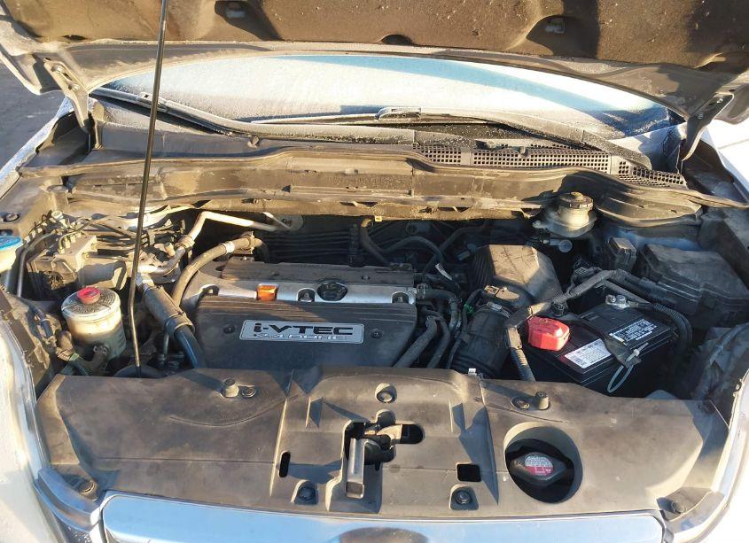 Photo 10 of 2007 Honda Cr-v EX-L (VIN JHLRE48787C118343)