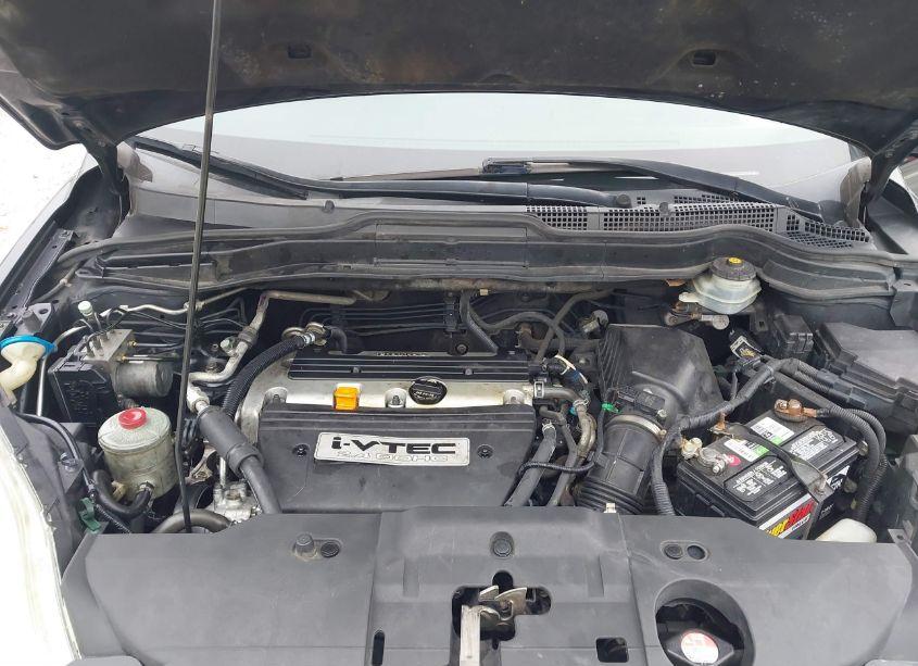 Photo 10 of 2008 Honda Cr-v EX-L (VIN JHLRE48788C035108)