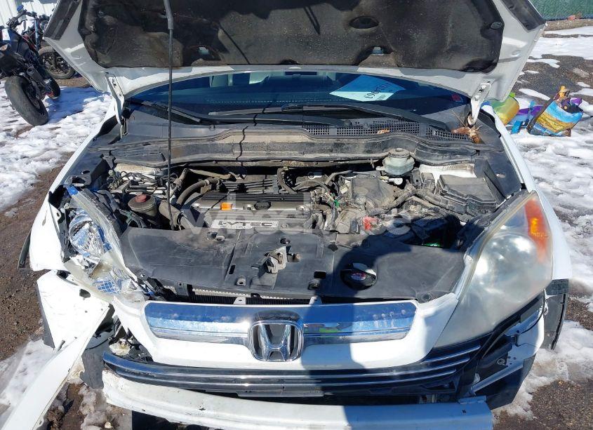 Photo 10 of 2008 Honda Cr-v EX-L (VIN JHLRE48788C041751)