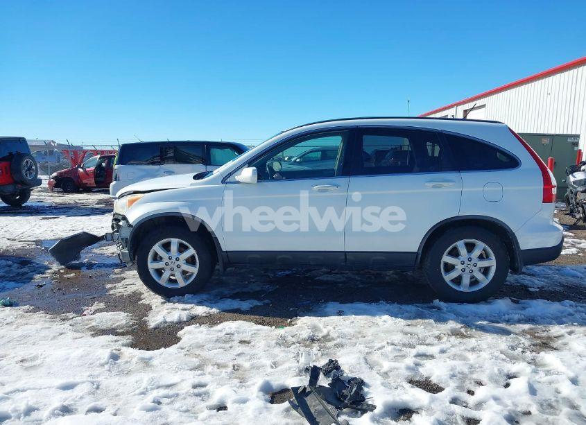 Photo 14 of 2008 Honda Cr-v EX-L (VIN JHLRE48788C041751)