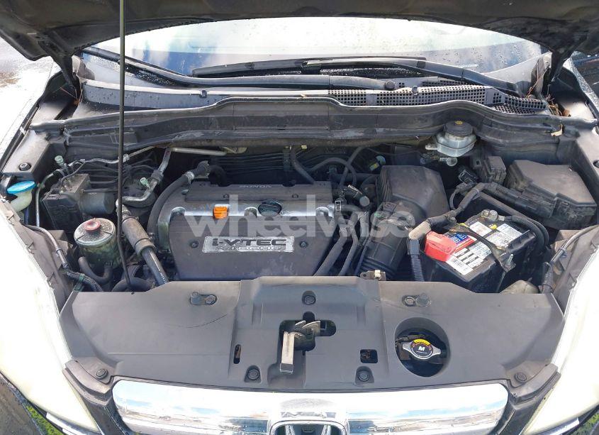 Photo 10 of 2008 Honda Cr-v EX-L (VIN JHLRE48788C060316)