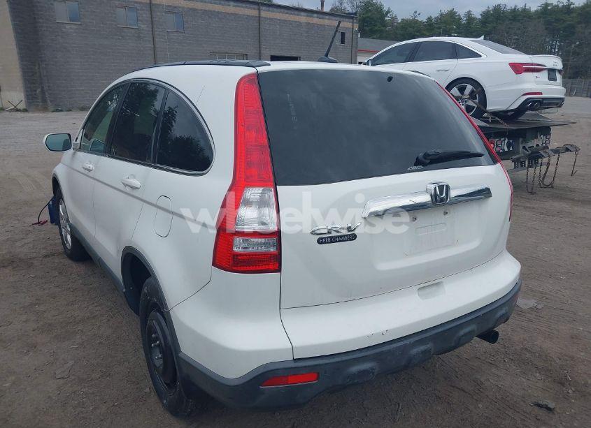 Photo 3 of 2009 Honda Cr-v EX-L (VIN JHLRE48789C007021)