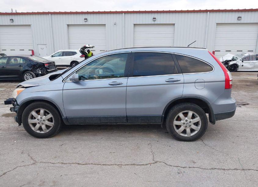 Photo 14 of 2009 Honda Cr-v EX-L (VIN JHLRE48789C007584)