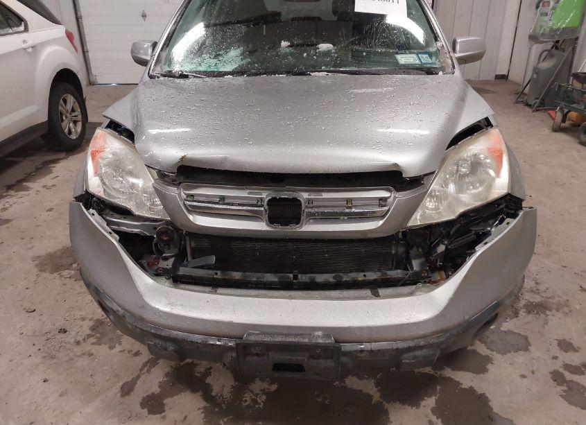 Photo 6 of 2007 Honda Cr-v EX-L (VIN JHLRE48797C001015)