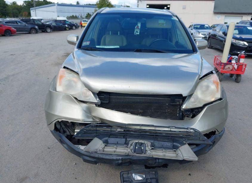 Photo 6 of 2007 Honda Cr-v EX-L (VIN JHLRE48797C119744)