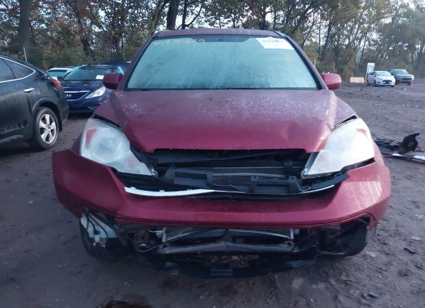 Photo 13 of 2007 Honda Cr-v EX-L (VIN JHLRE48797C123857)