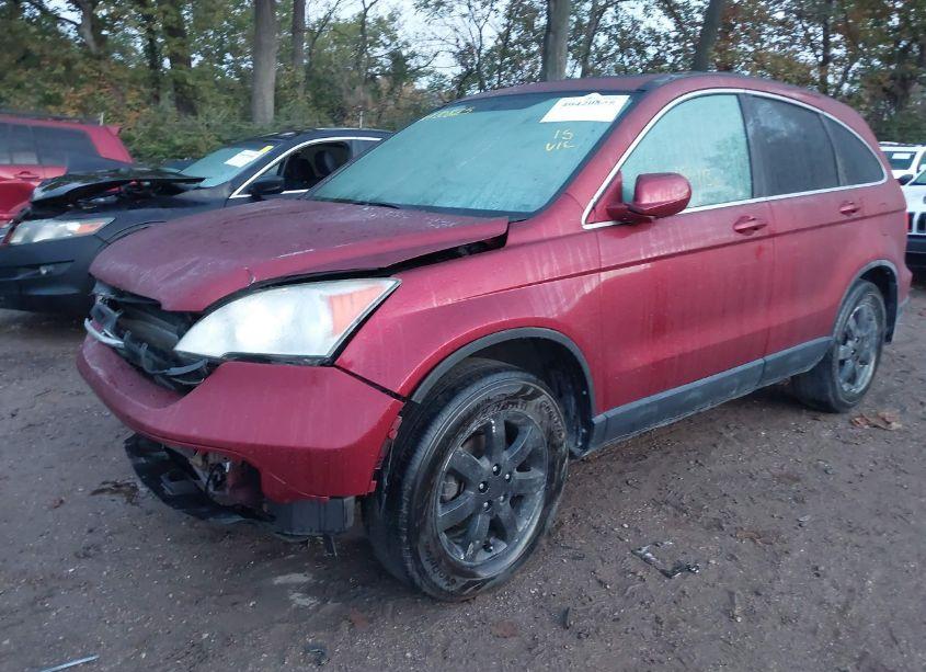 Photo 6 of 2007 Honda Cr-v EX-L (VIN JHLRE48797C123857)