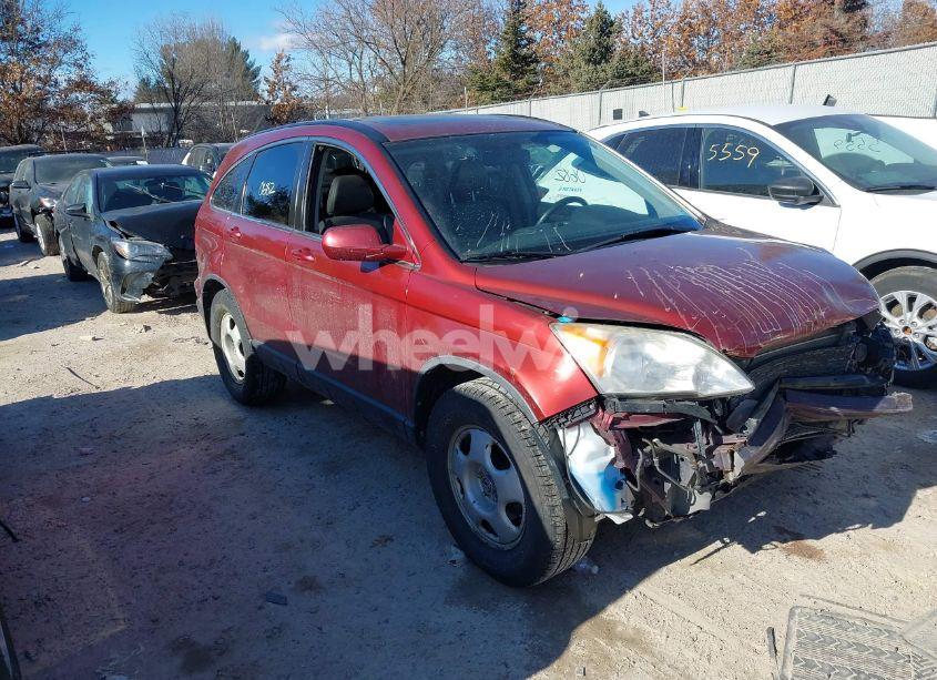 2008 Honda Cr-v EX-L (VIN JHLRE48798C061555) main photo