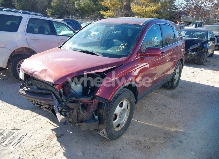 Photo 2 of 2008 Honda Cr-v EX-L (VIN JHLRE48798C061555)