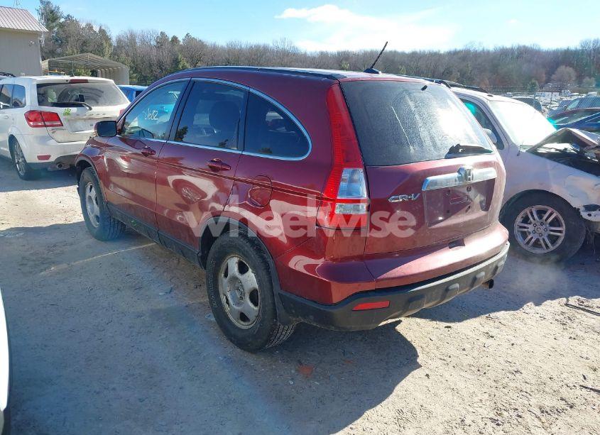 Photo 3 of 2008 Honda Cr-v EX-L (VIN JHLRE48798C061555)