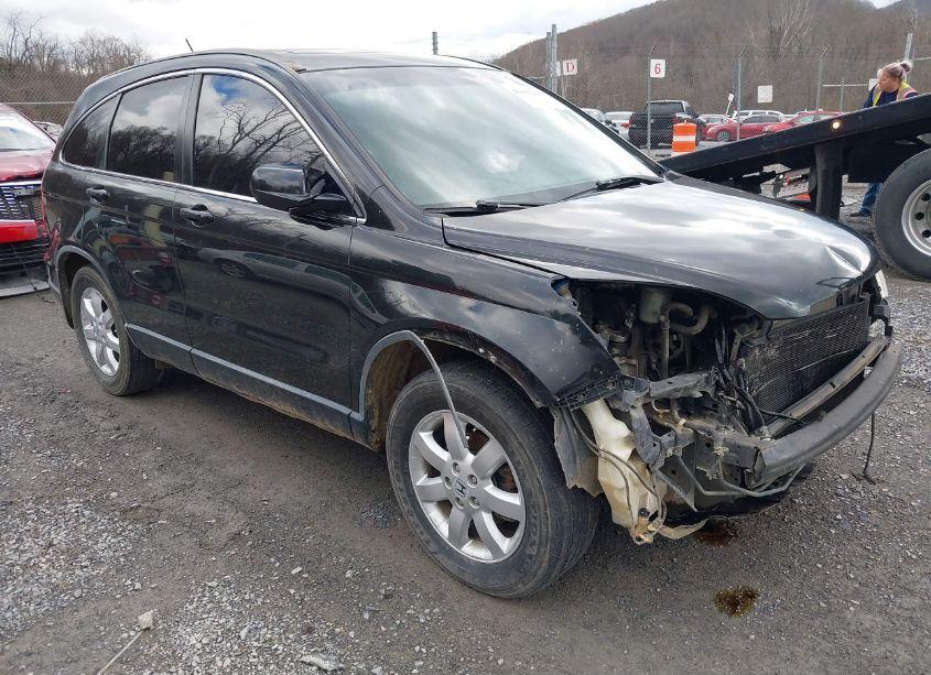 2008 Honda Cr-v EX-L (VIN JHLRE48798C078453) main photo