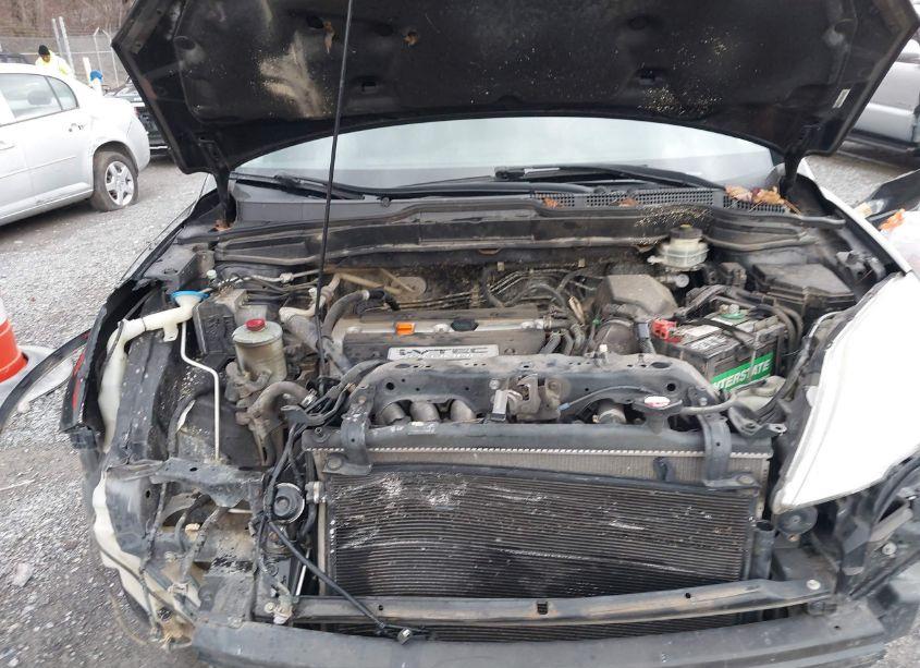 Photo 6 of 2008 Honda Cr-v EX-L (VIN JHLRE48798C078453)