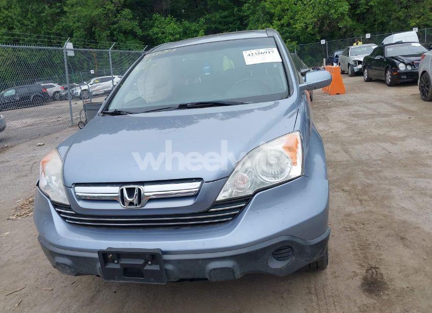Photo 12 of 2009 Honda Cr-v EX-L (VIN JHLRE48799C010820)