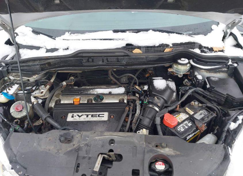Photo 10 of 2009 Honda Cr-v EX-L (VIN JHLRE48799C015872)